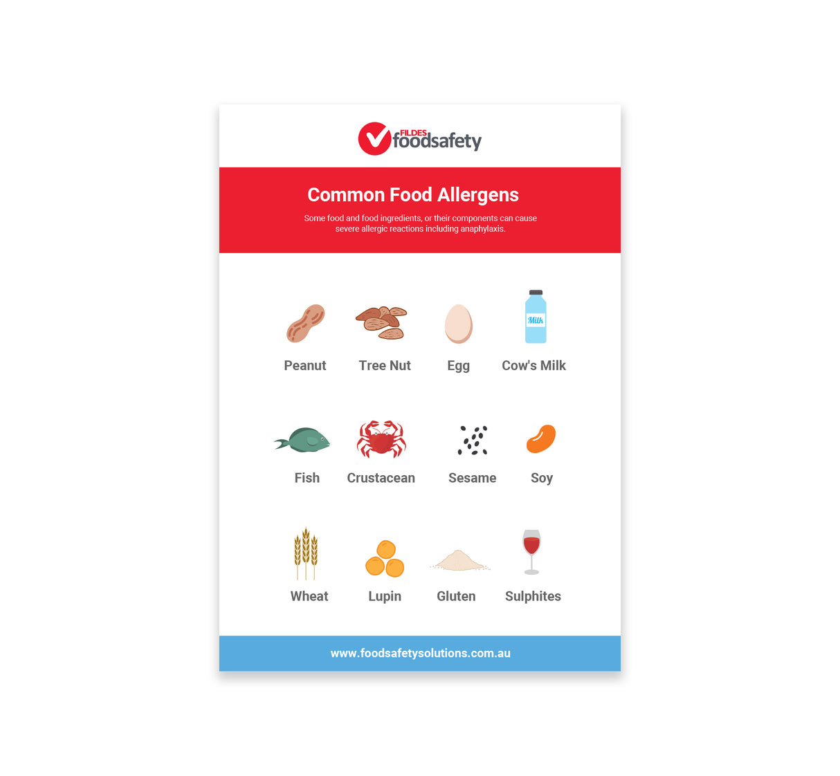 Common Food Allergens Poster