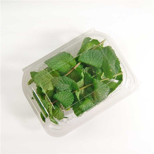 Envirochoice Salad Pack Fresh View Small (250/500)