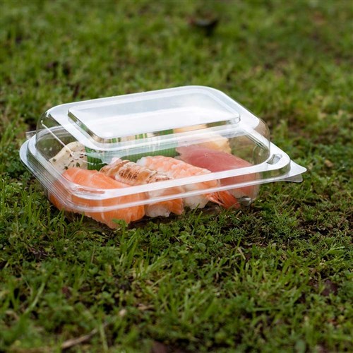 Envirochoice Salad Pack Freshview Large (250/500)