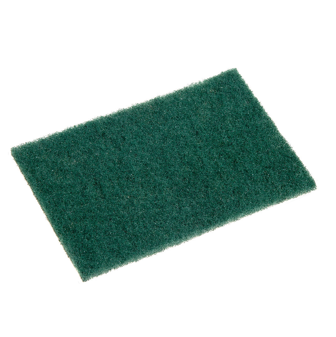 Sabco Scourer 150x100mm (10Pk)