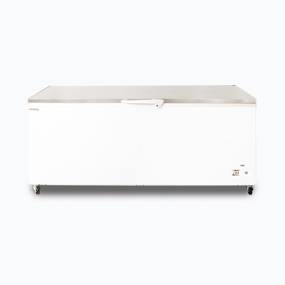 Chest Freezer Flat Top Stainless Steel 675L