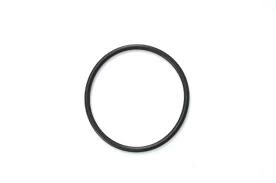 O RING TO SUIT RINSE PUMP ES25 C-254