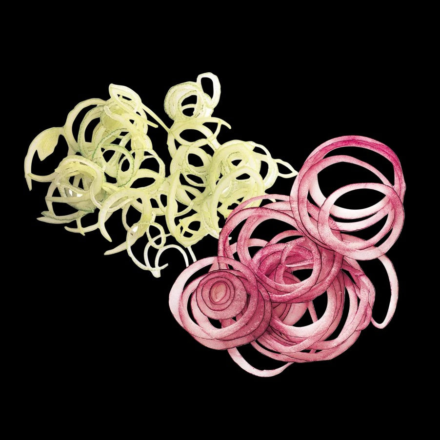 CL40 Vegetable Preparation Machine