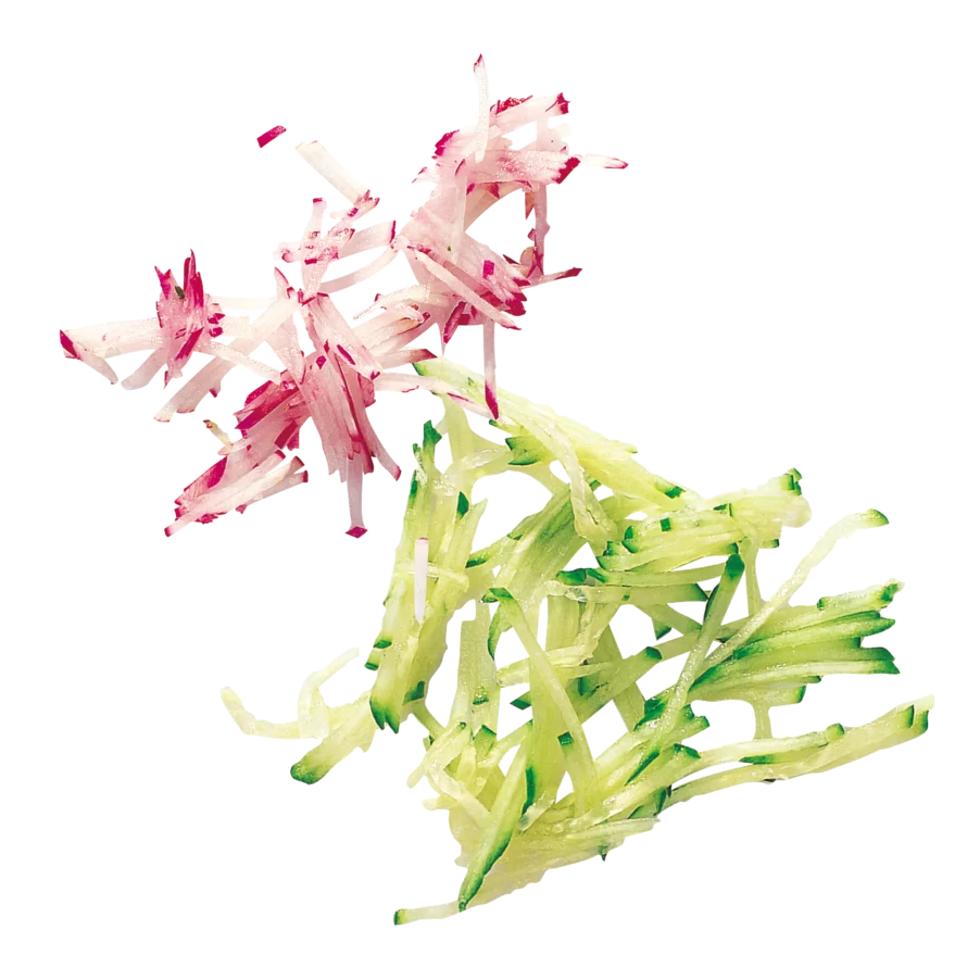 Julienne Discs - Expert Range