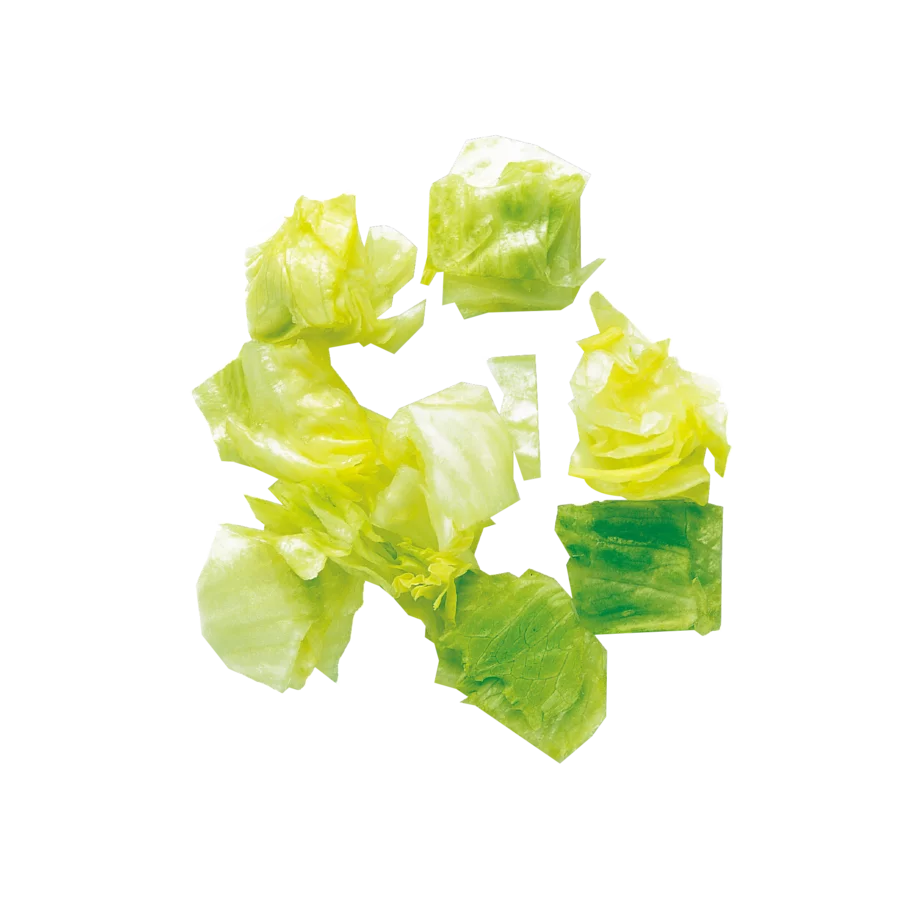 Dicing Equipment - Expert Range