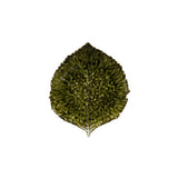 Costa Nova Riviera Hydrangea Leaf 218mm