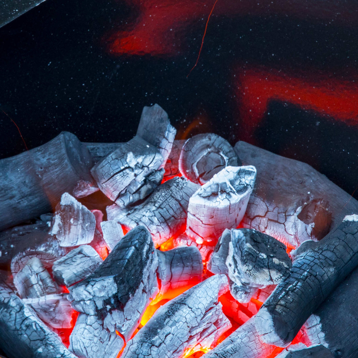 Gidgee Chunky Charcoal 19kg
