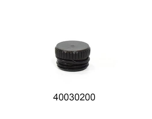 Washtech Rinse Arm End Plug 40030200