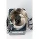 Dito Sama PREP4YOU Cutter Mixer 5 Speeds 3.6L S/S Bowl P4U-PV3S