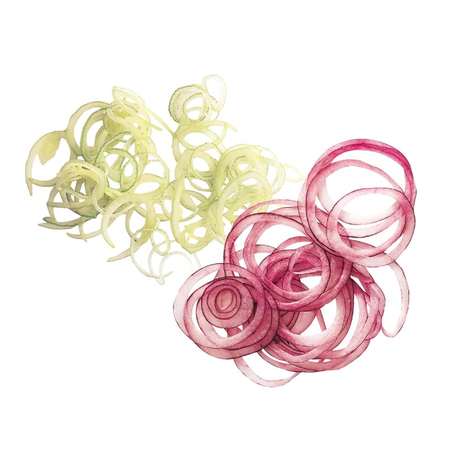 Slicer Blades - Essentials Range