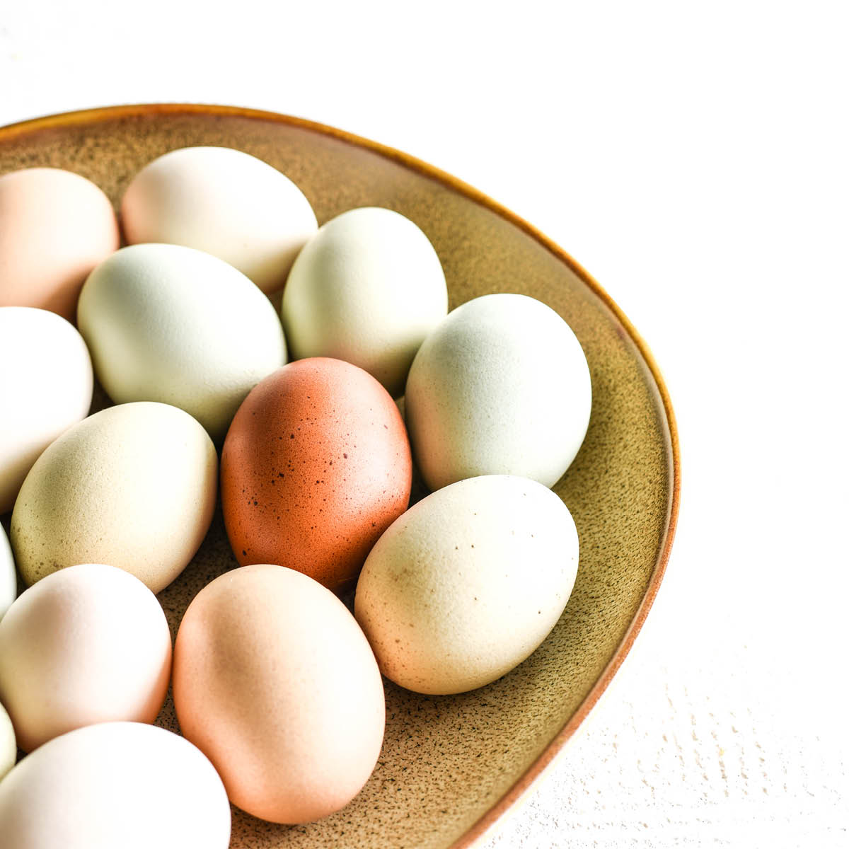 Ora Arica Oval Flat Bowl (6)